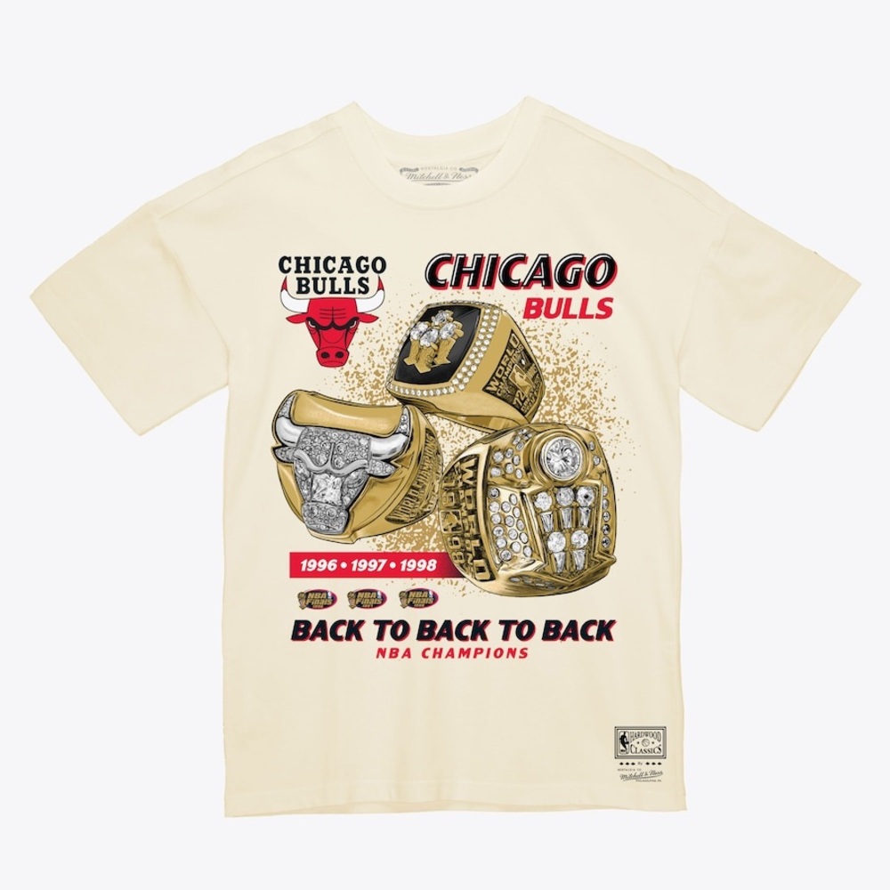 NBA Chicago Bulls Retro Three Rings Tee - 90s basketball championship EUC sz L